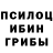 Галлюциногенные грибы прущие грибы Airis Abiken