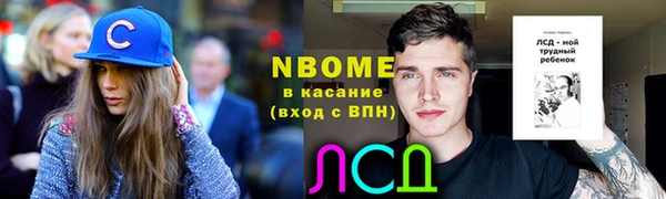 индика Армянск