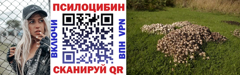 Купить  Усинск  Галлюциногенные грибы MAGIC MUSHROOMS 
